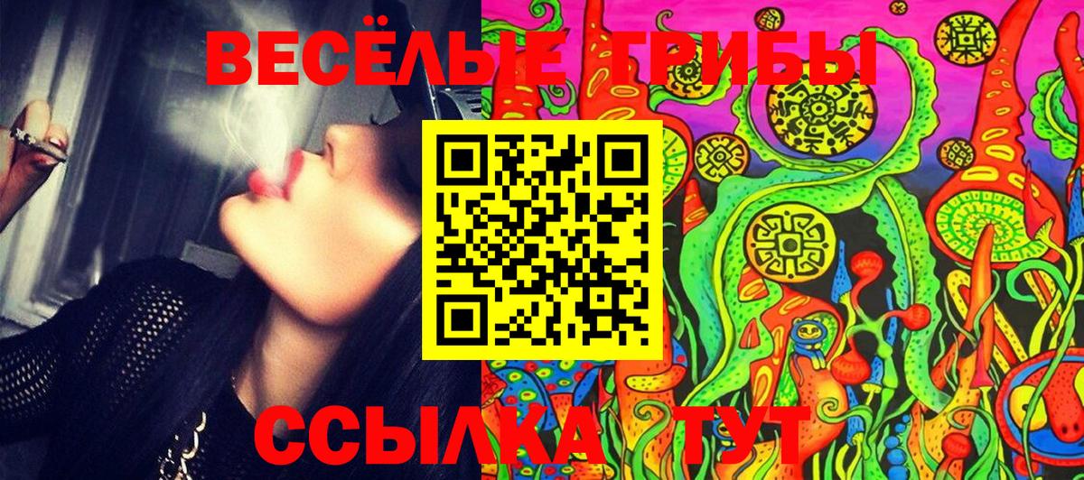 Псилоцибиновые грибы Psilocybine cubensis  Псилоцибиновые грибы Cubensis  Вход с VPN  Дмитров 